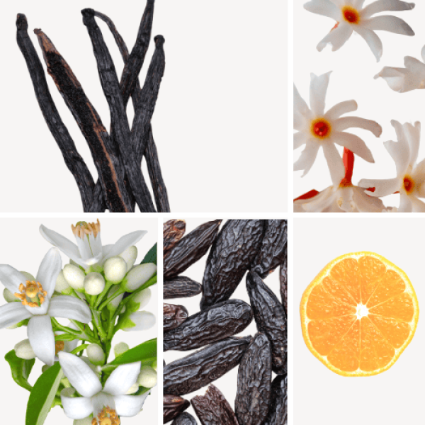 Duftnoten: Vanille, Jasmin, Mandarine, Orangenblüte, Tonkabohne
